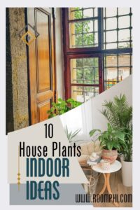 Read more about the article 10 House Plants Indoor Ideas