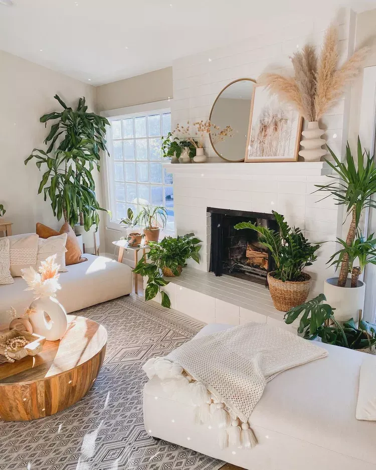 10 House Plants Indoor Ideas Textural Layering in Interior Design