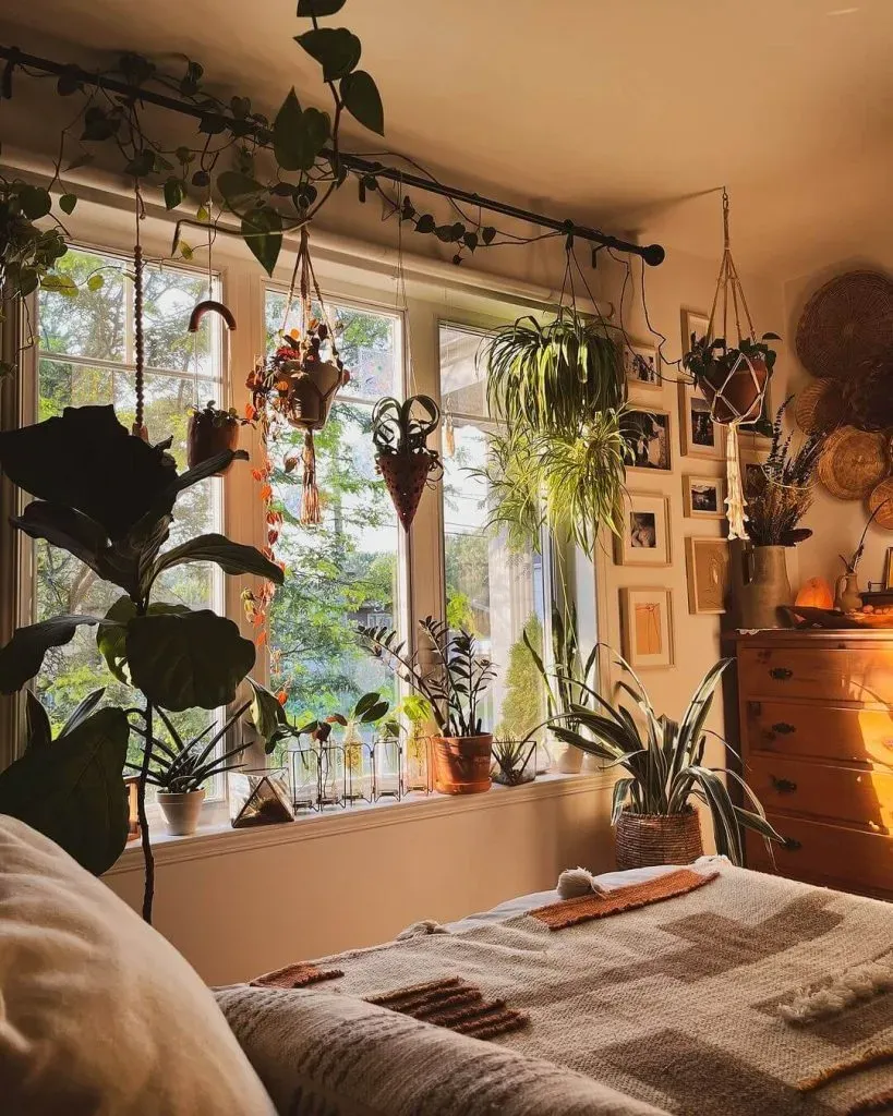 10 House Plants Indoor Ideas Botanical Curtain Rod Decor