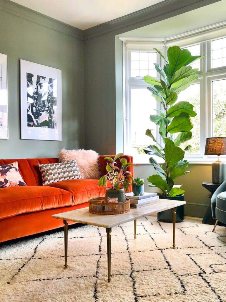10 House Plants Indoor Ideas Home Decor Plants That Match Your Style