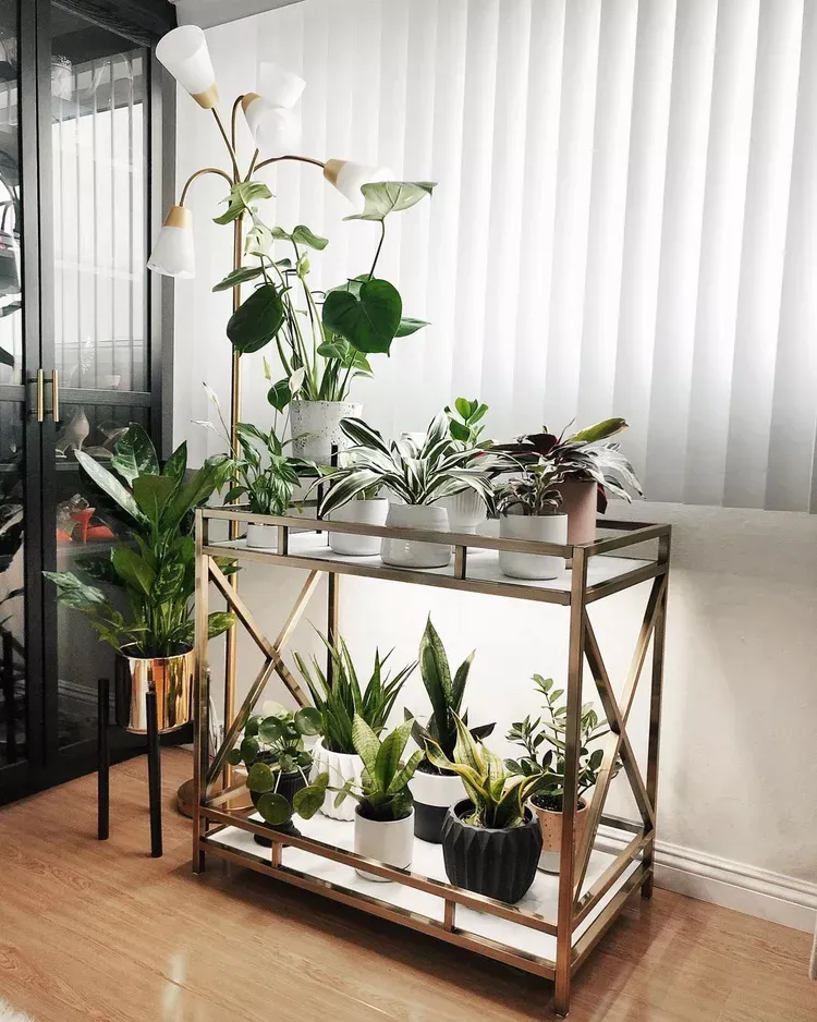 10 House Plants Indoor Ideas Home Bar Cart Organization Ideas