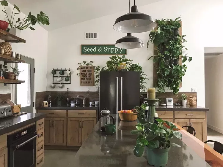 10 Indoor Plant Wall Ideas to Create a Fresh, Stylish, and Nature-Inspired Home Indoor Kitchen Plant Wall Ideas