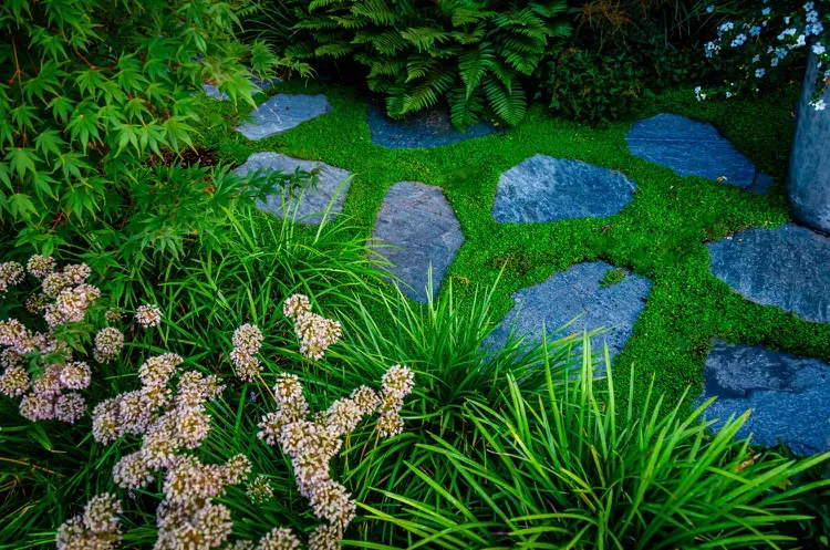 Garden Path Ideas with Stepping Stones